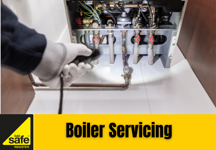 boiler service Swanley