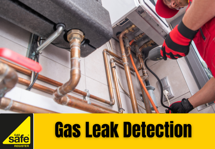 gas leak detection Swanley
